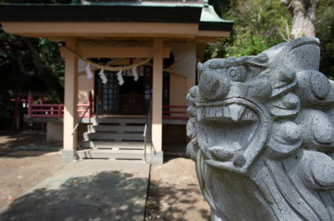 白山神社本殿前にある狛犬の写真